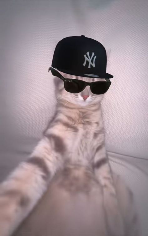 XXXXXX